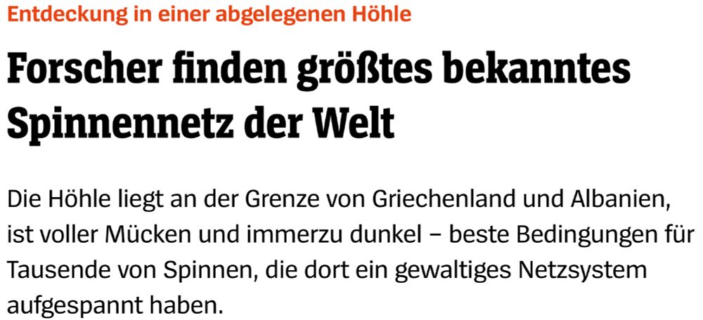 Entdeckung in einer abgelegenen Höhle
Forscher finden größtes bekanntes
Spinnennetz der Welt
Die Höhle liegt an der Grenze von Griechenland und Albanien, ist voller Mücken und immerzu dunkel - beste Bedingungen für Tausende von Spinnen, die dort ein gewaltiges Netzsystem aufgespannt haben.