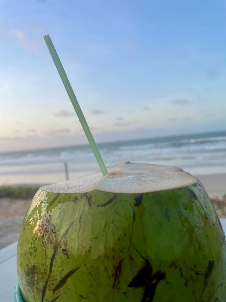 Kokosnuss, im Hintergrund Strand 