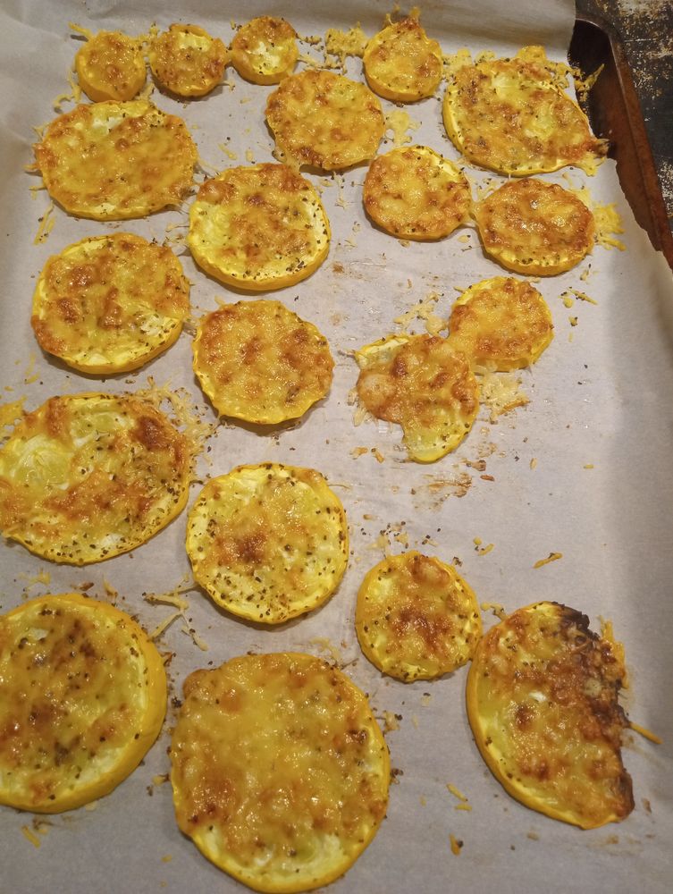 Baked yellow squash rounds covered in crispy, melted Parmesan cheese rest on a tray covered in parchment paper. 