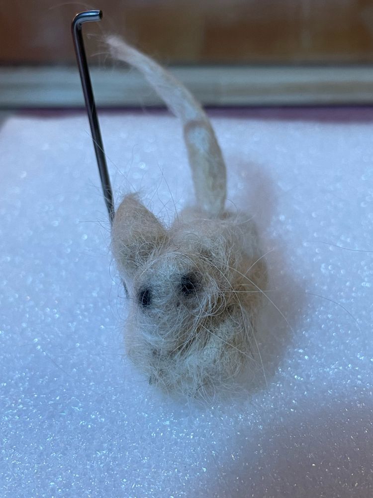 マルペキのパフの抜け毛で何かを作りました。何にみえますか❓