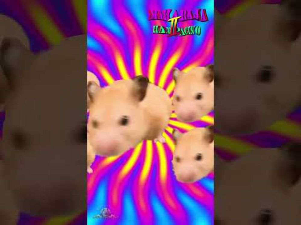 MaharajaHamPacino II #short #hampacino #mikuhatsune #hamsters