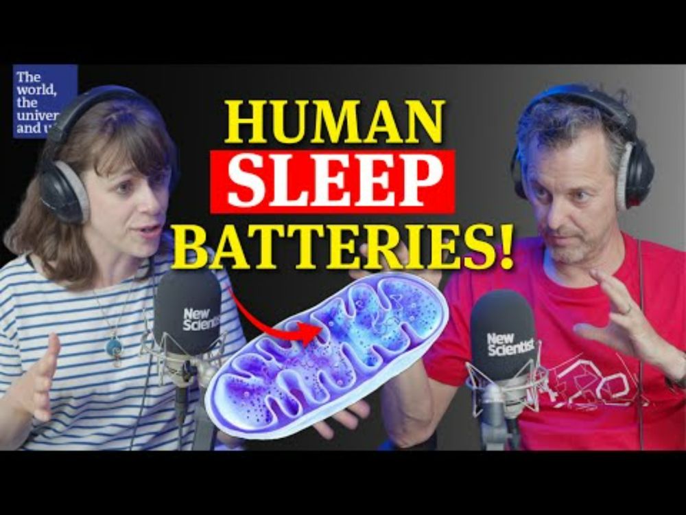 How mitochondria are linked to sleep (and Ozzy Osbourne)
