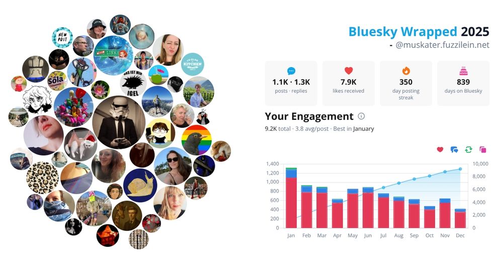 Bluesky Wrapped 2025 dieses Users 