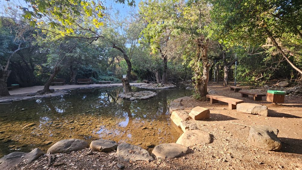 A wading pool under trees and a blue sky