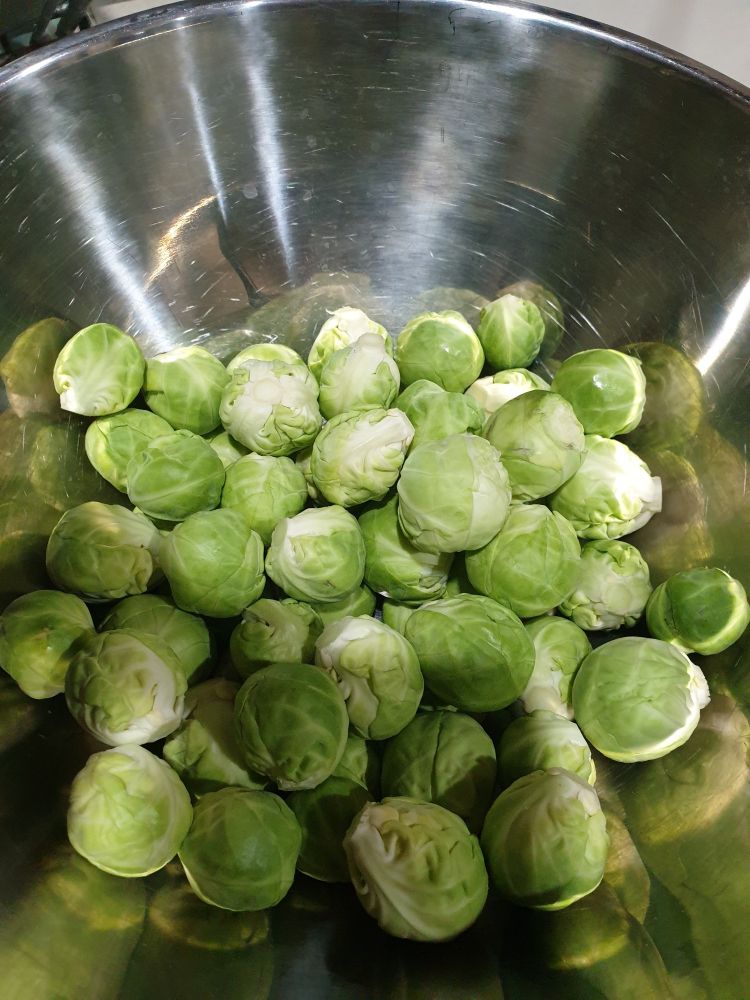 A stainless steel bowl of prepared sprouts.