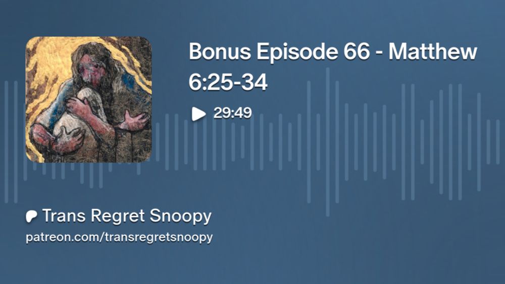 Bonus Episode 66 - Matthew 6:25-34 | Trans Regret Snoopy