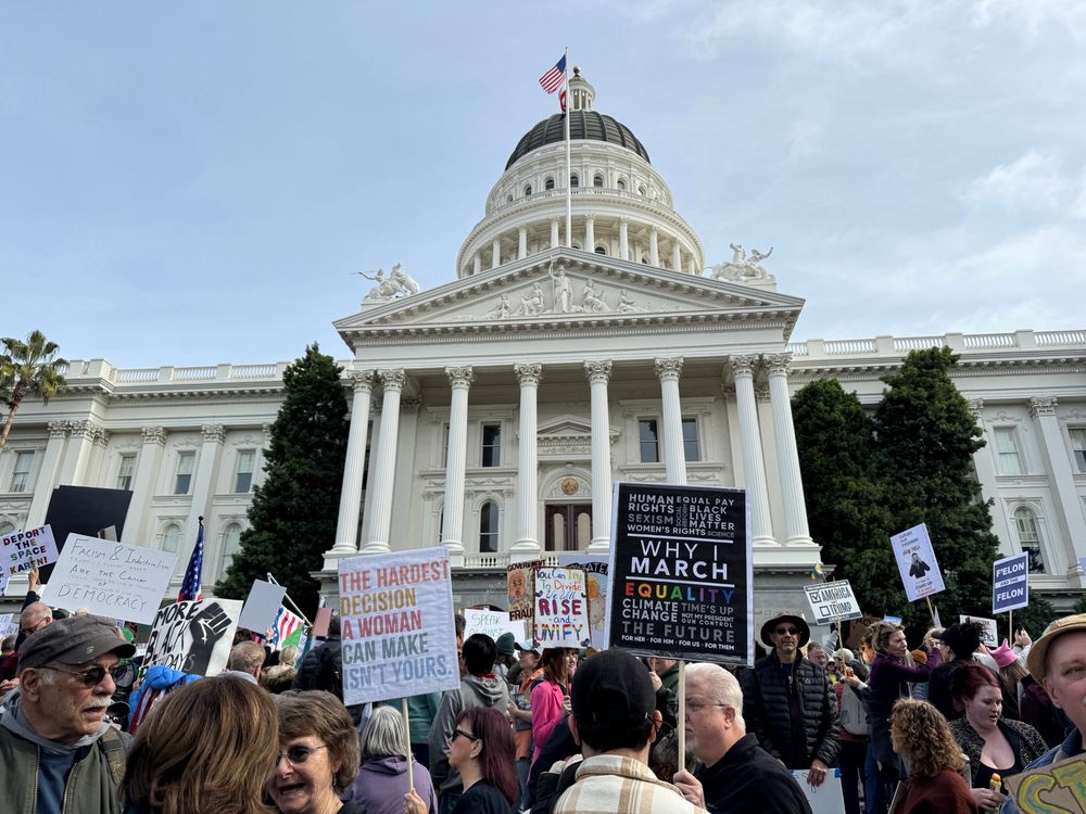 Sacramento, California’s Capitol Building with dozens of people in frame holding signs that are anti Trump and Elon. 