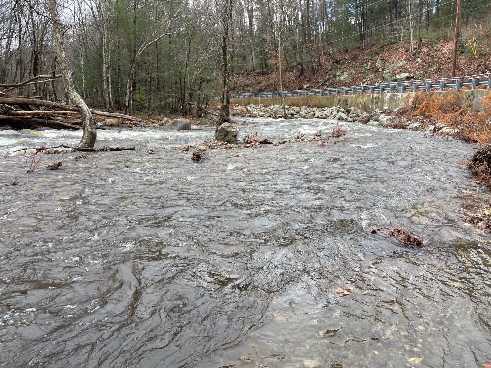 Flooded area of river with bent tree on the left.