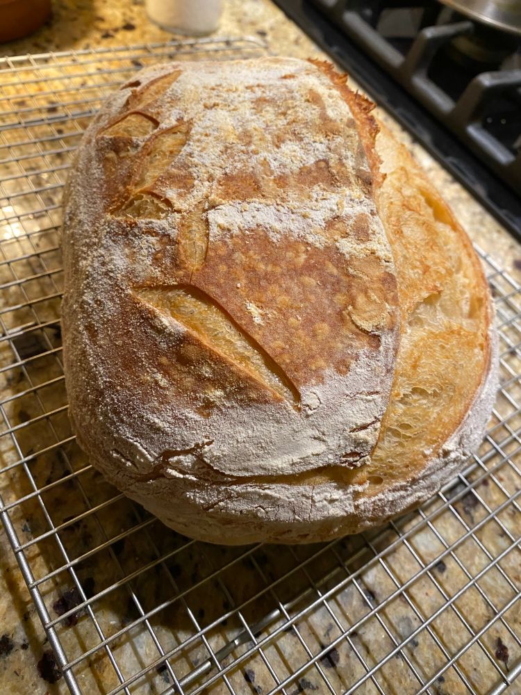 Sourdough loaf, fresh from the oven.