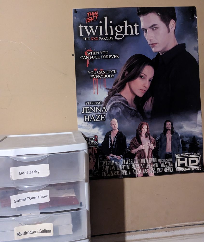 A poster for the porn parody "this isn't Twilight" with the tagline "when you can fuck forever, you can fuck everybody"