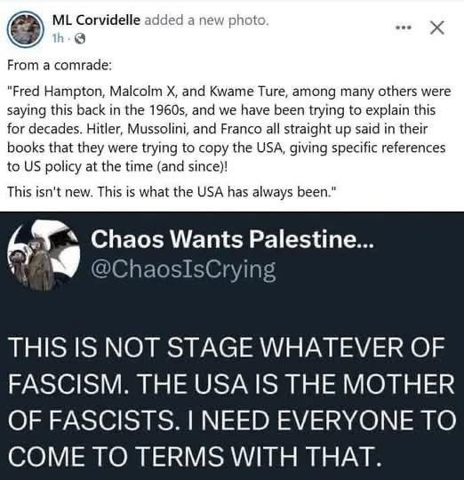 A screenshot combining two social media posts. The top post, from ML Corvidelle, quotes a comrade stating that U.S. fascism is not new, referencing figures like Fred Hampton, Malcolm X, and Kwame Ture, who warned in the 1960s that fascists such as Hitler and Mussolini modeled their regimes after U.S. policy. The bottom post, by @ChaosIsCrying, emphatically declares: “This is not stage whatever of fascism. The USA is the mother of fascists. I need everyone to come to terms with that.”