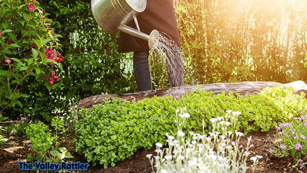 Memahami Mumps Virus untuk Melindungi Anak-Anak, Cari Tahu Langkah Pencegahannya