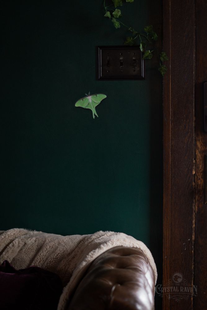 A dark green wall inside an older house with dark brown mahogany wood trimming at the right of the picture and a brown leather couch with a faux fur throw blanket draped over it. A hand painted realistic Luna Moth is painted on the green wall just behind the couch. 