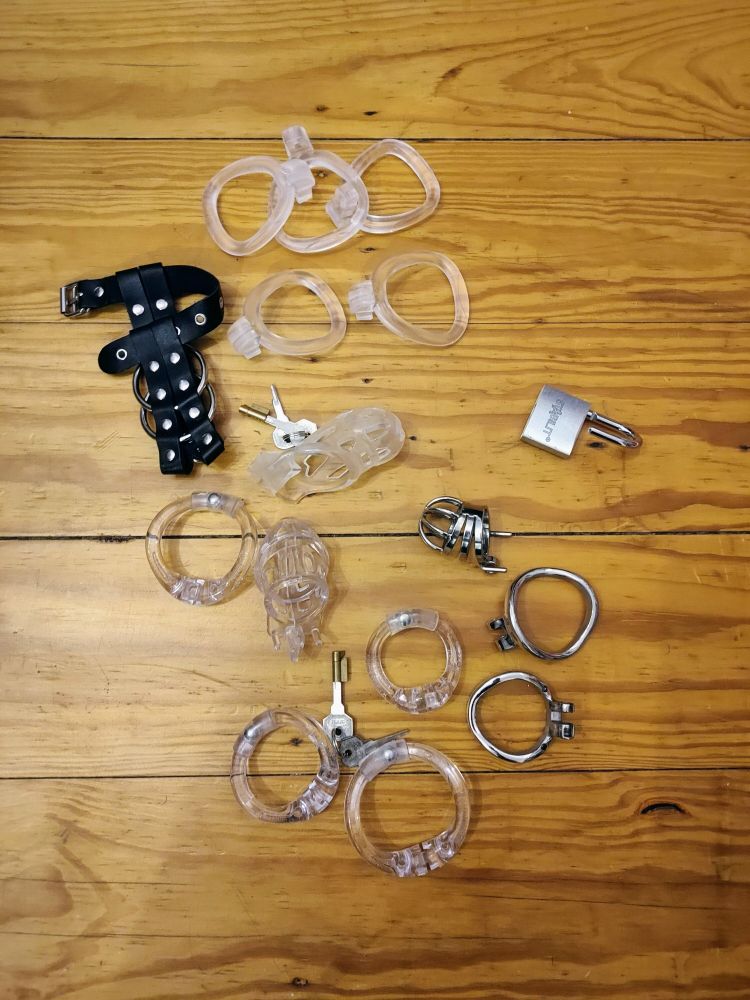 My collection of chastity cages