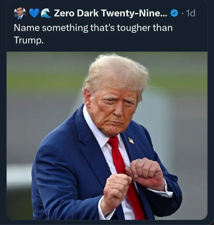 Social media post including picture of trump in boxing stance. Zero Dark Twenty-Nine ... Name something that's tougher than Trump.
