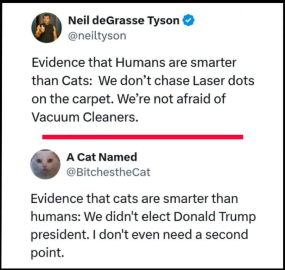 Social media post: Neil deGrasse Tyson @neiltyson Evidence that Humans are smarter than Cats: We don't chase Laser dots on the carpet. We're not afraid of Vacuum Cleaners. A Cat Named @BitchestheCat Evidence that cats are smarter than humans: We didn't elect Donald Trump president. I don't even need a second point.