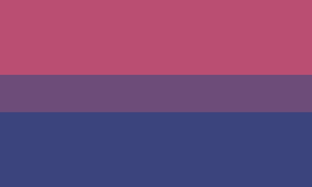 Bisexual flag with colors picked from the scene of Quattro Bajeena getting punched in Zeta Gundam.