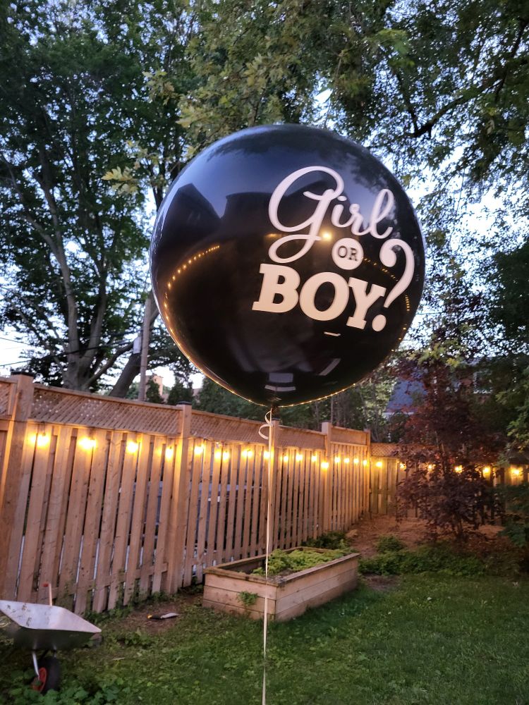 Balloon that says girl or boy on it.