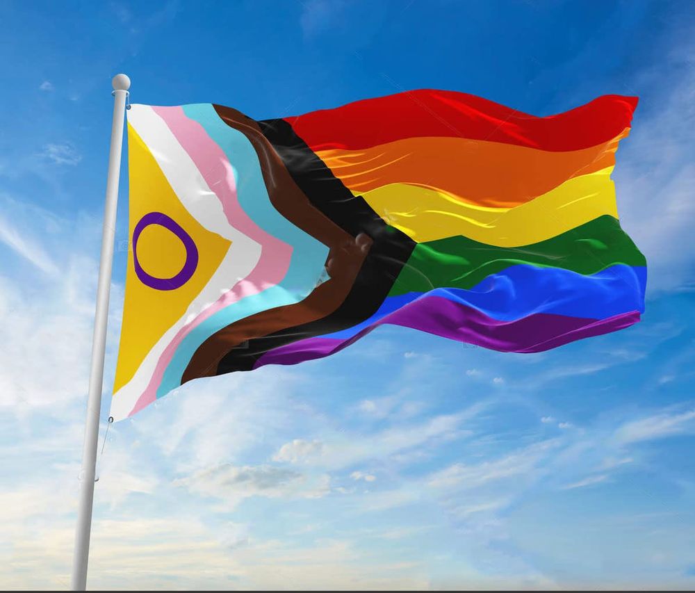LGBTQIA+ progress flag.