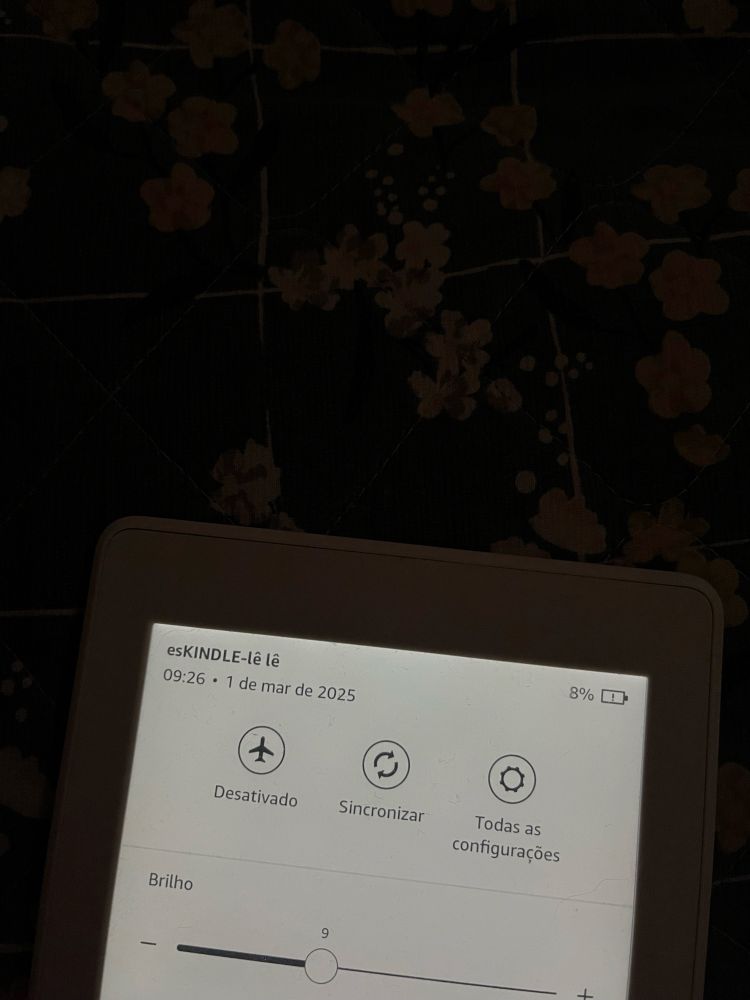foto da tela do Kindle, que mostra as configurações e onde é possível ler o nome esKINDLE-lê-lê no topo