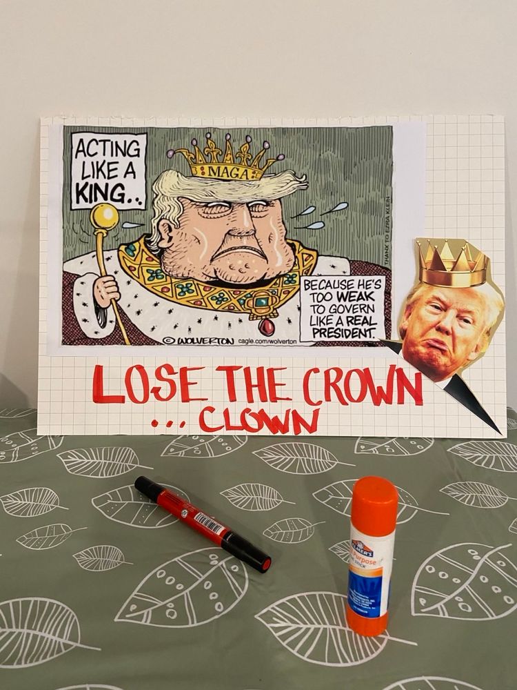 Protest sign that has a cartoon of Trump dressed as a King with the captions:
“Acting like a King because he’s too weak to govern like a real president”

And:
“Lose the crown, clown.”