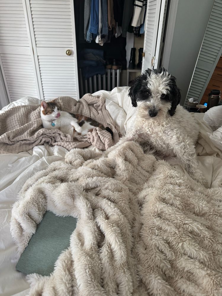 How we spent our morning 