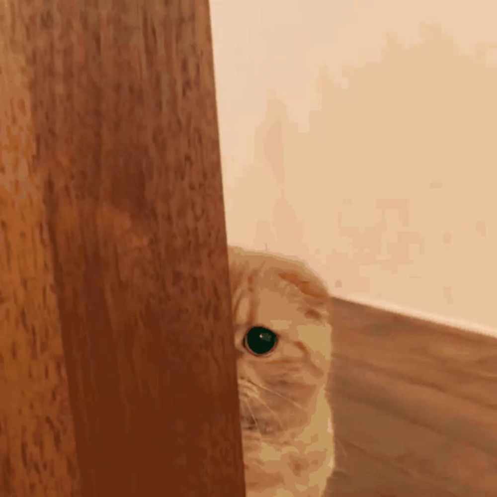 a cat with green eyes peeking out from behind a wooden wall