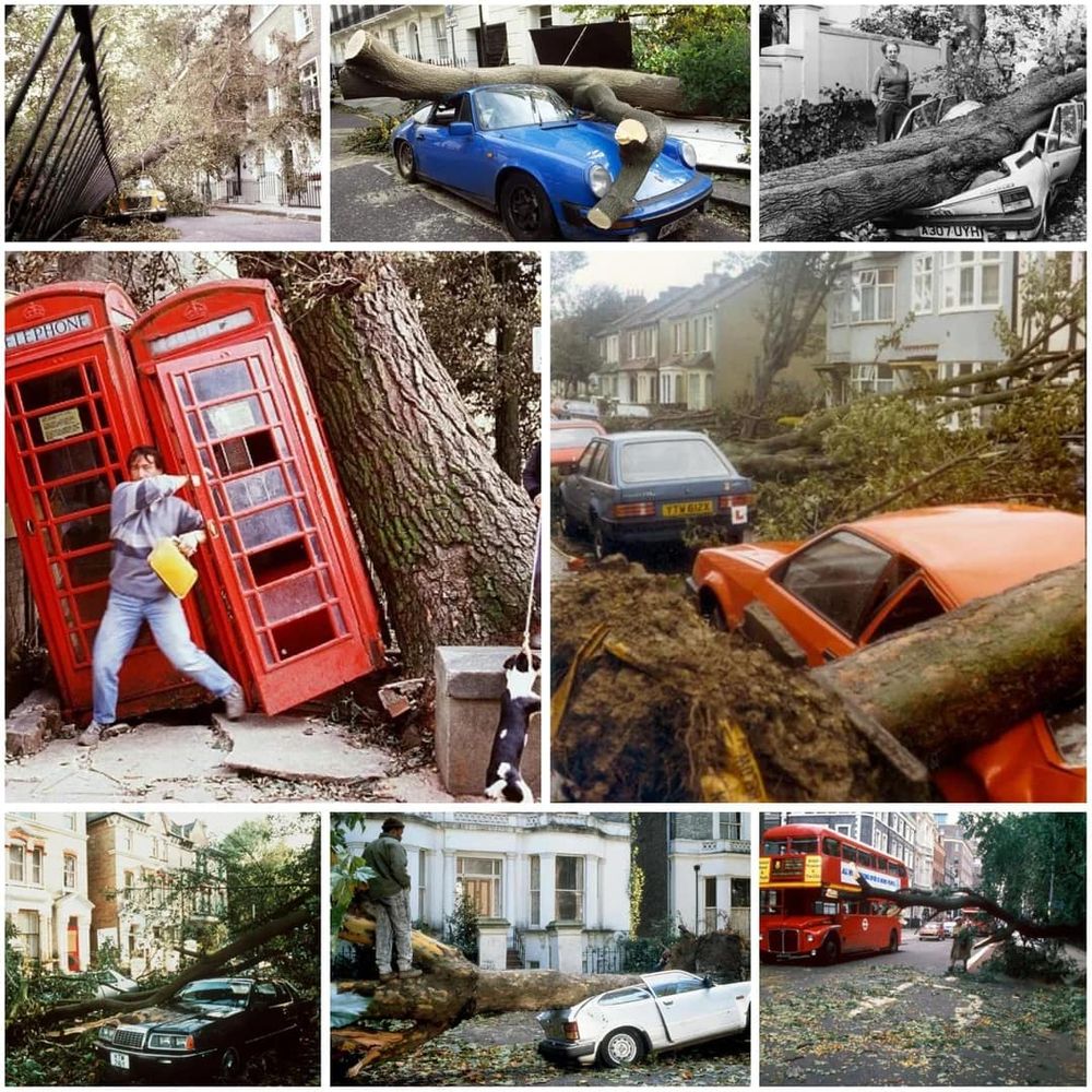 Fallen trees crushing cars following the Great Storm of 15/1§6 October 1987