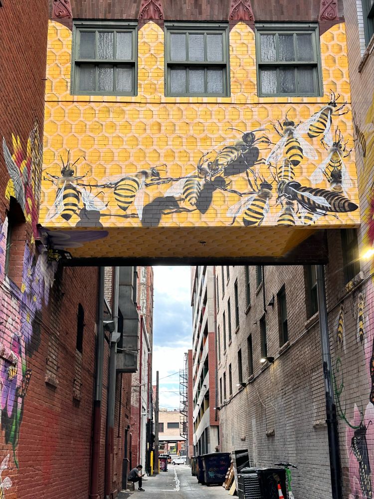 Denver alley bridgewith mural of bees festooning 