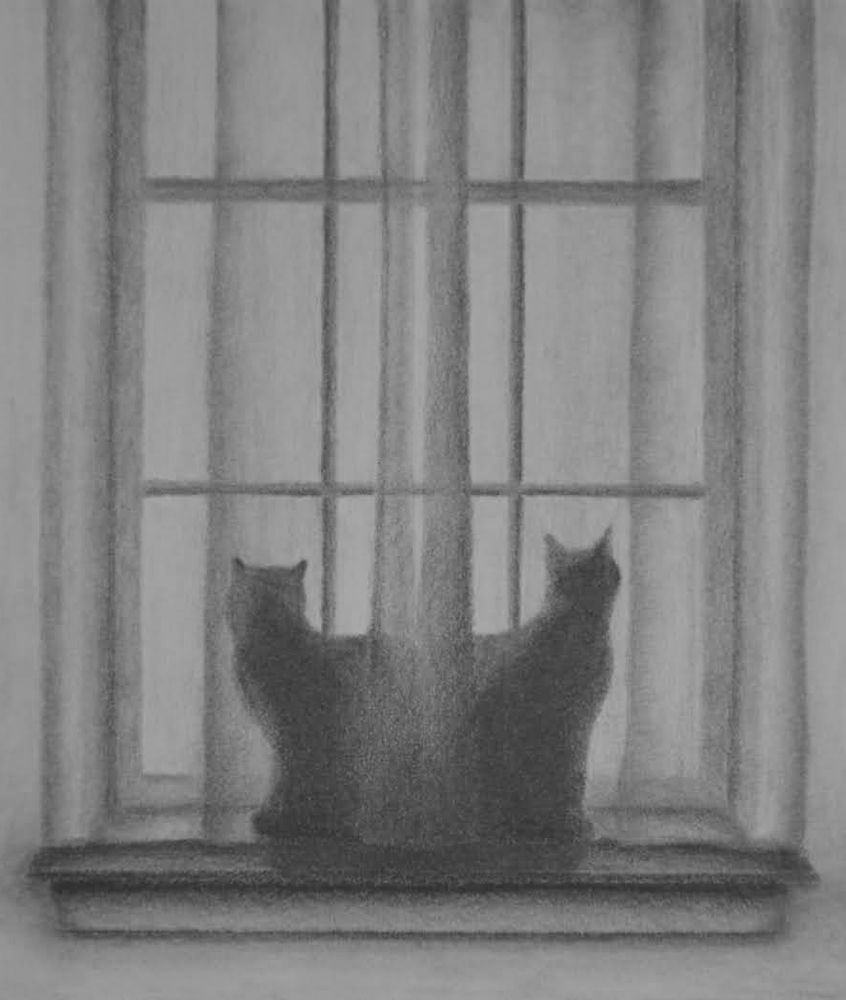 Graphite pencil drawing of my two black cats named Mulder & Scully.
