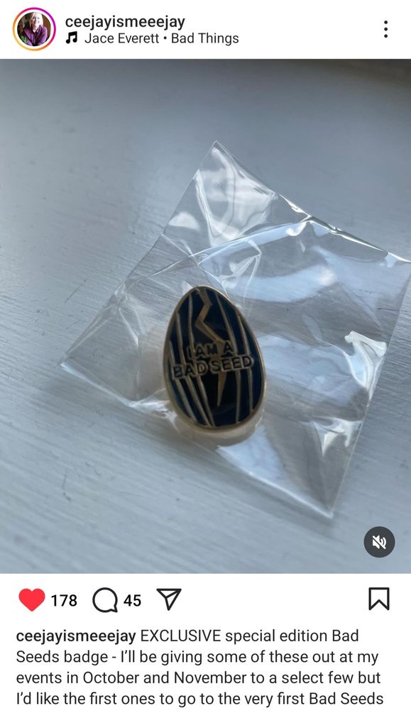 Screenshot from CJ Skuse Instagram page of an black enamel oval badge, with gold striations and the words I am a bad seeds. 