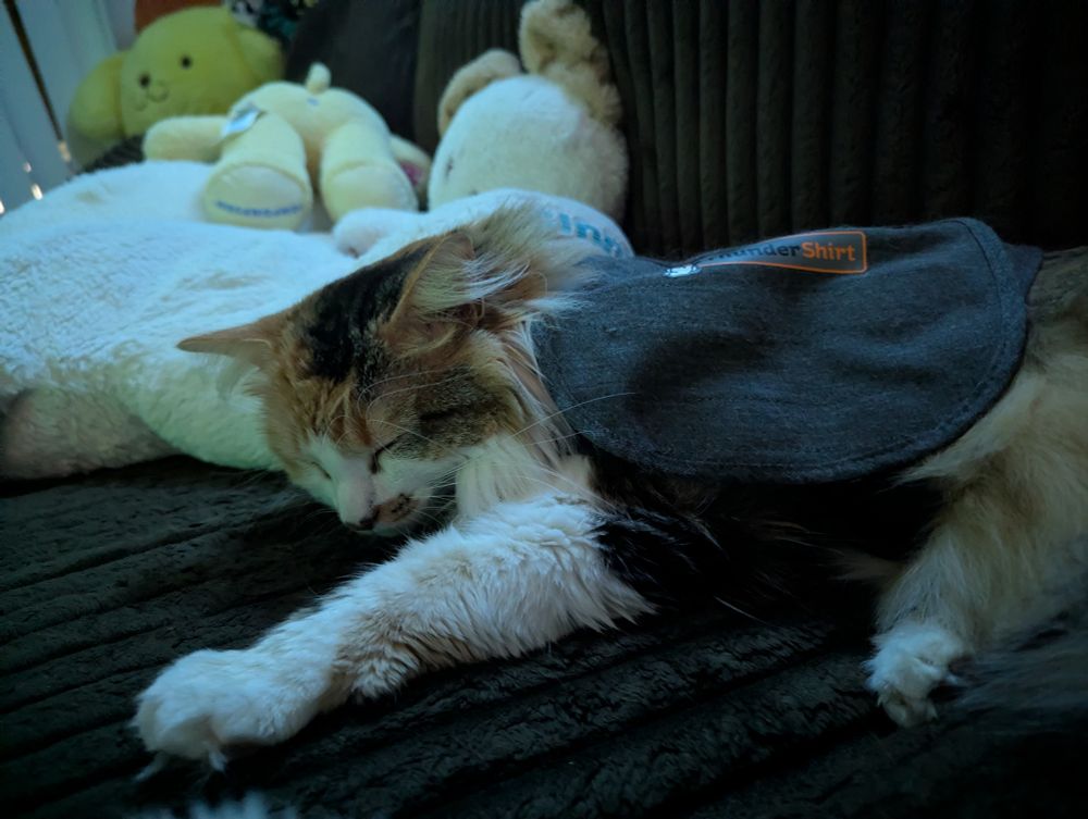 suletta wearing her thunder shirt