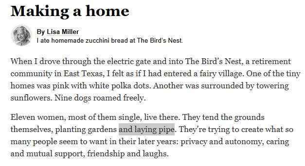 A screencap of the intro for today's The Morning newsletter, the phrase "laying pipe" is used. Text is as follows:

Making a home
By Lisa Miller

I ate homemade zucchini bread at The Bird’s Nest.

When I drove through the electric gate and into The Bird’s Nest, a retirement community in East Texas, I felt as if I had entered a fairy village. One of the tiny homes was pink with white polka dots. Another was surrounded by towering sunflowers. Nine dogs roamed freely.

Eleven women, most of them single, live there. They tend the grounds themselves, planting gardens and laying pipe. They’re trying to create what so many people seem to want in their later years: privacy and autonomy, caring and mutual support, friendship and laughs.