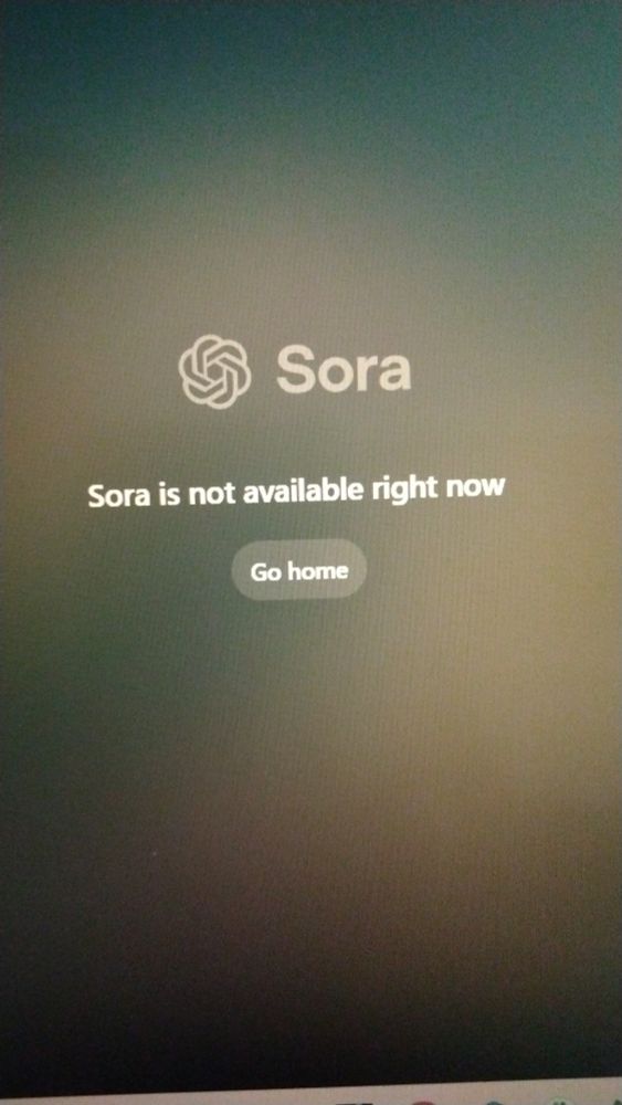 Sora, an AI image creation tool by ChatGPT, reads, "Sora is not available right now, go home" on the screen. 