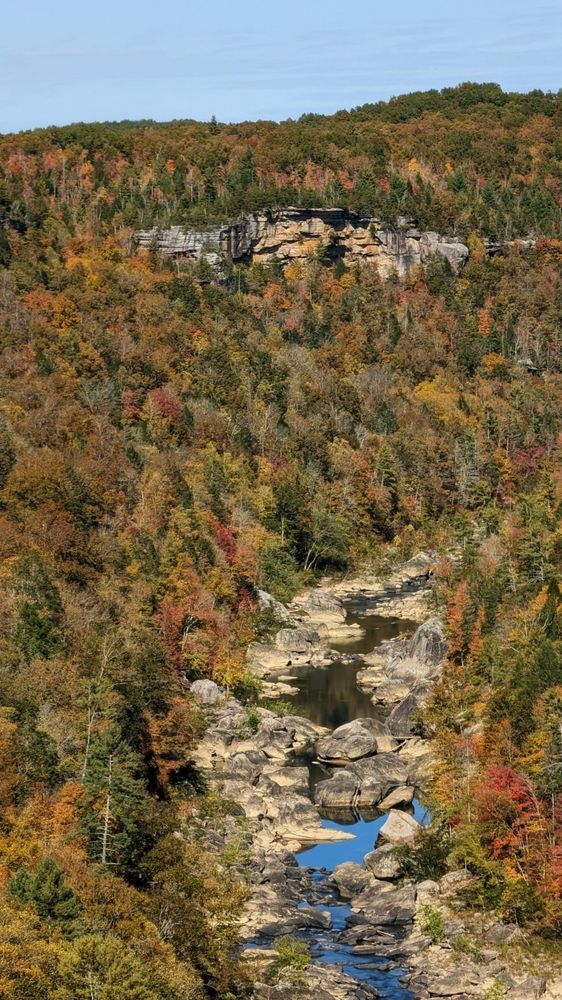 A creek cuts through the Cumberland plateau of northern Tennessee. 