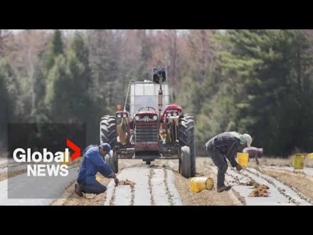 Canada's temporary foreign worker program a "breeding ground" for contemporary slavery: UN report