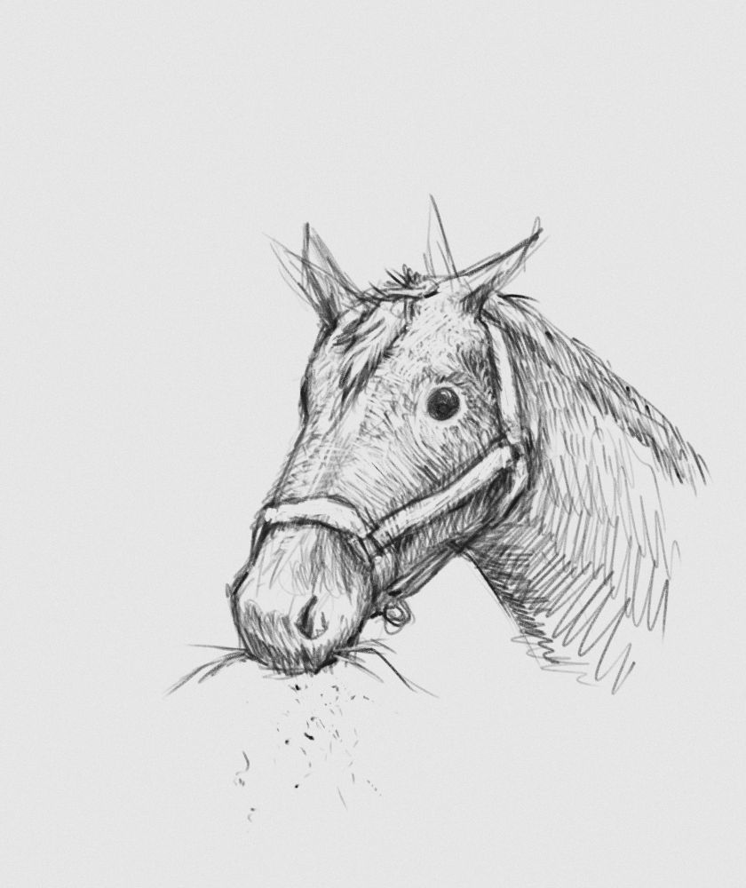 digital charcoal drawing of a horse munching some hay