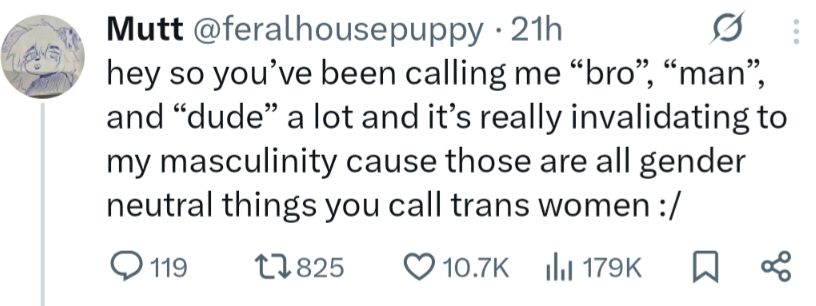 Tweet by @feralhousepuppy:

hey so you've been calling me "bro", "man", and "dude" a lot and it's really invalidating to my masculinity cause those are all gender neutral things you call trans women :/