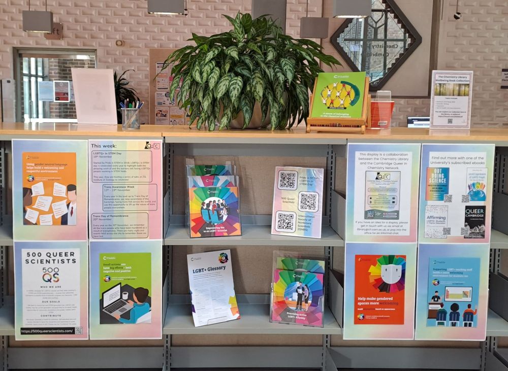 Display of posters and flyers pertaining to the LGBTQ+ community in STEM.