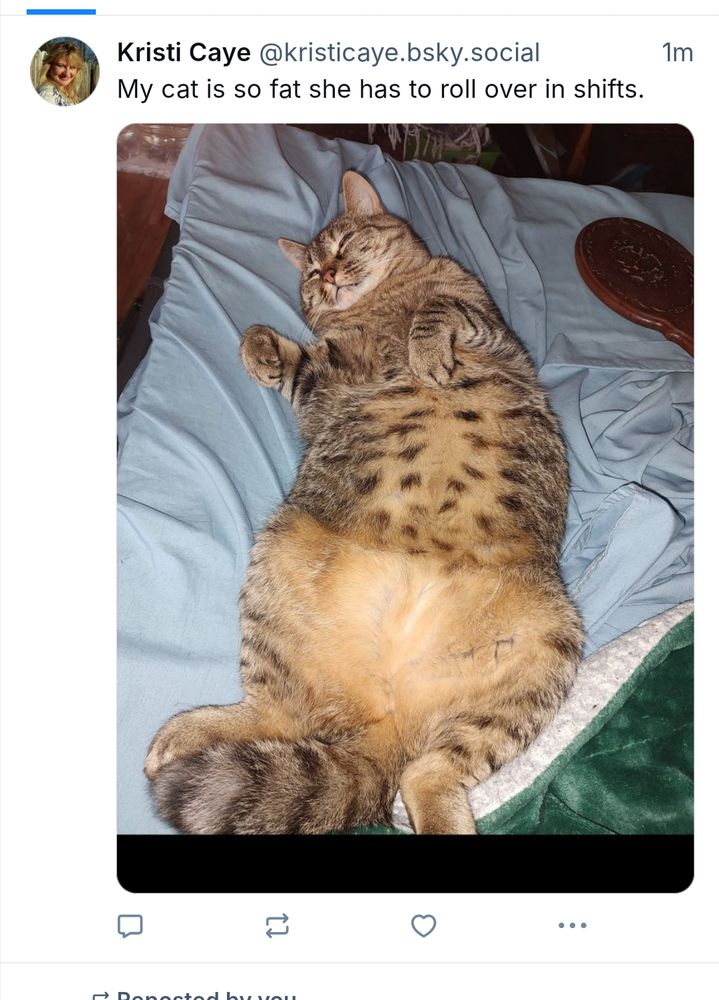 Comment image