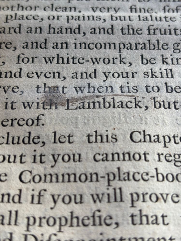 Stained page from a drawing manual - close up on the text and the word "lampblack" covered by a grey wash splatter