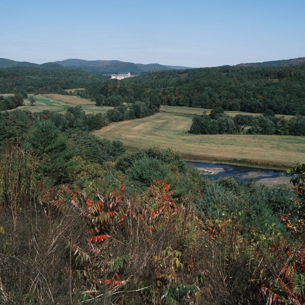 Hilly landscape in early autumn