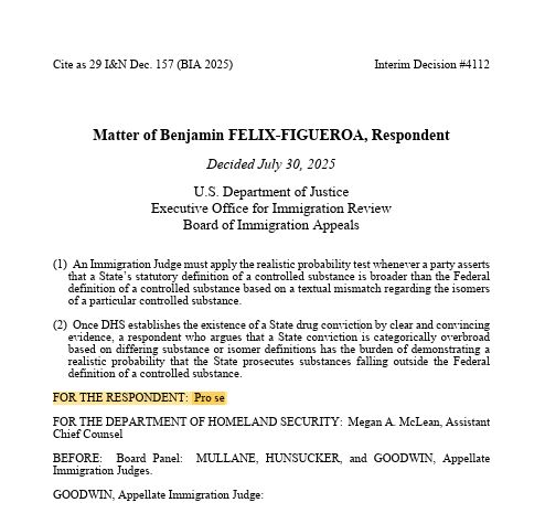 First page of Matter of Felix-Figueroa, indicating Respondent was pro se.