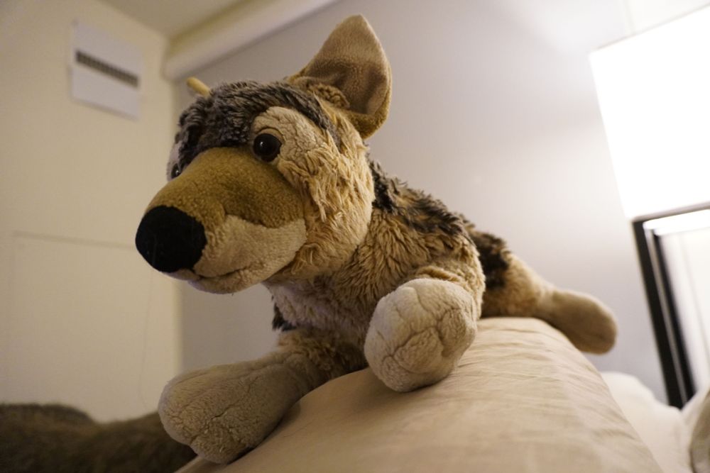 Wolf plush sat majestically atop a pillow