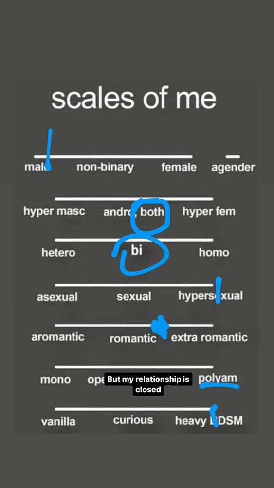 Same list on the other slide this with marks relating to my identity 
Marked almost fully male
Both masc and femme presenting 
Bisexual 
Hyper sexual 
Between romantic and hyper romantic 
Polyamorous but I can be happily monogamous which I am currently. With a fully closed relationship.
Fully into bdsm