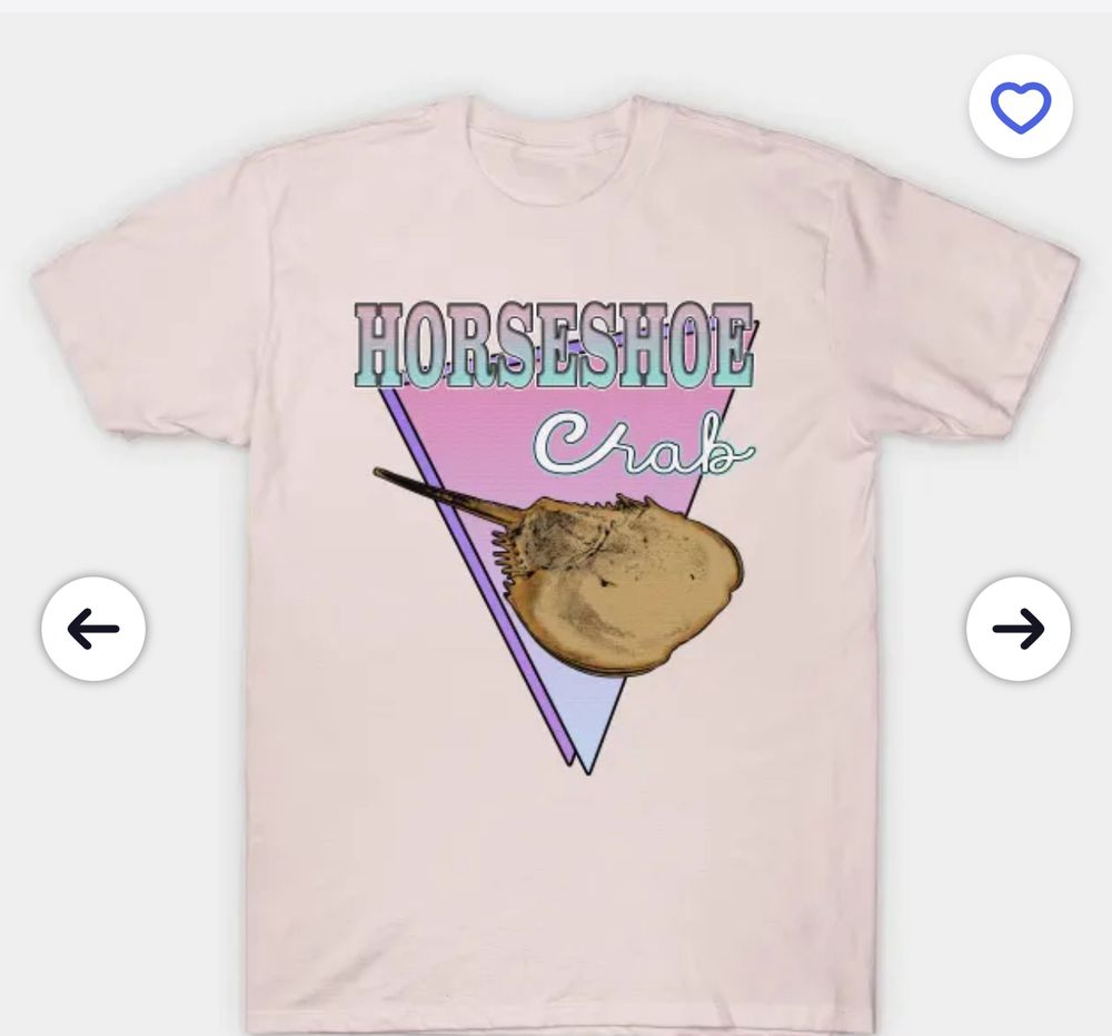 Horseshoe crab 