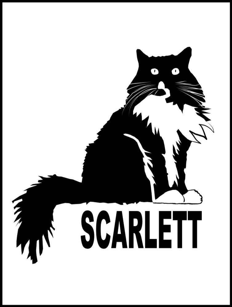 A black and white image of a rumpled tuxedo cat, labeled "Scarlett"