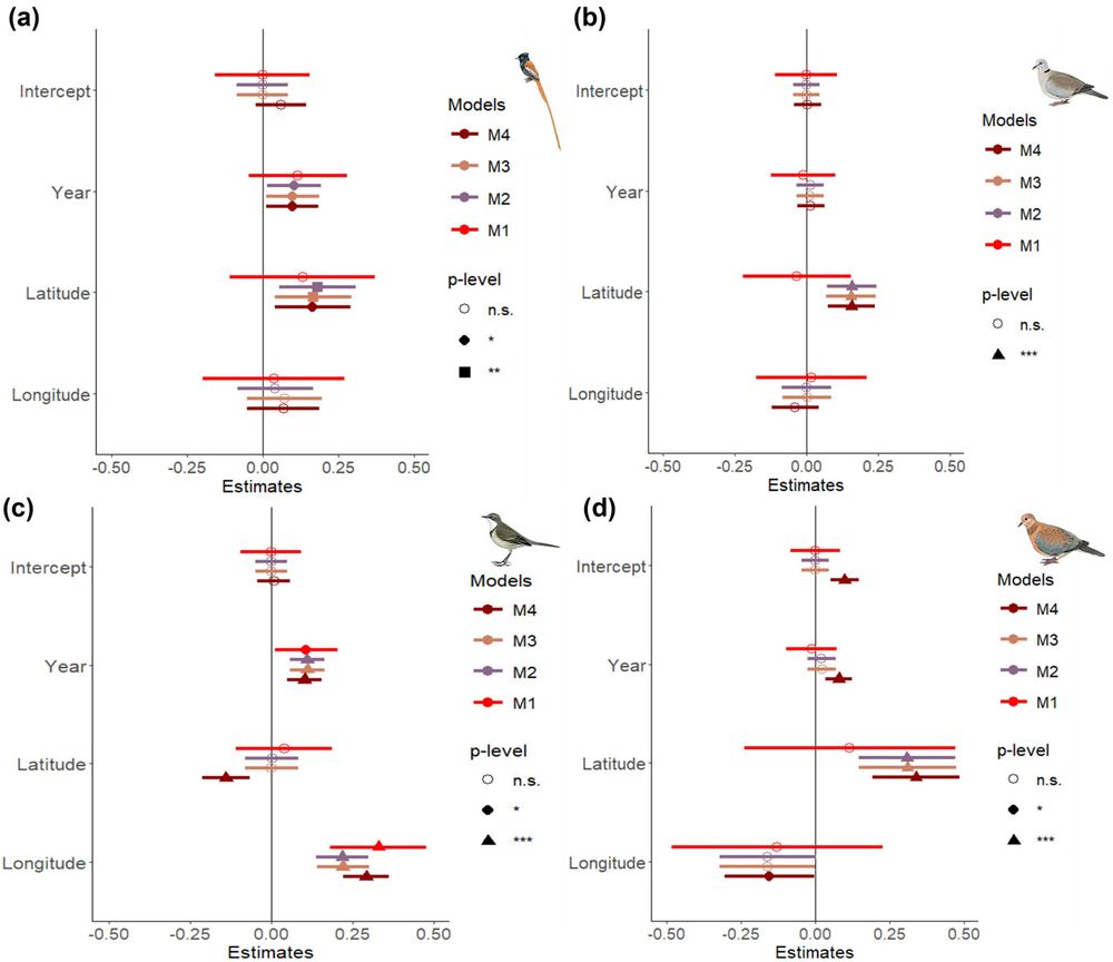 Fig. 3 from the article: The results of the linear models (M1–M3) and linear mixed model (M4 – with card as random term) using different data combinations exploring association with lay date (during the period 1950–1999) for (a) African paradise flycatcher, (b) cape turtle dove, (c) cape wagtail, and (d) laughing dove.
