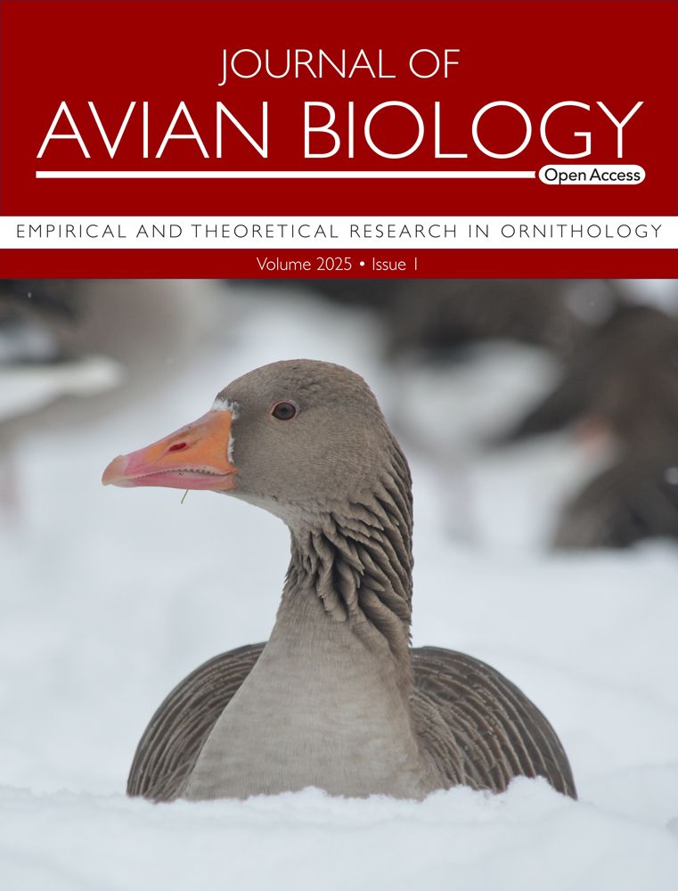 The first JAB cover of 2025 featuring a greylag goose showing vigilance while sitting in the snow at Grünau im Almtal, Austria. Photo credit: Andrew Katsis