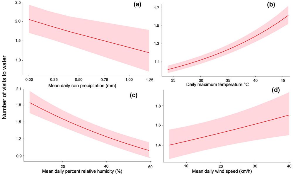 Fig. 2 from the article: Effect plots of the relationship between the daily number of visits to water by 219 tagged zebra finches across two water points in western New South Wales during a summer drought and (a) mean daily rainfall, (b) maximum daily temperature, (c) mean daily % relative humidity, and (d) mean daily wind speed.